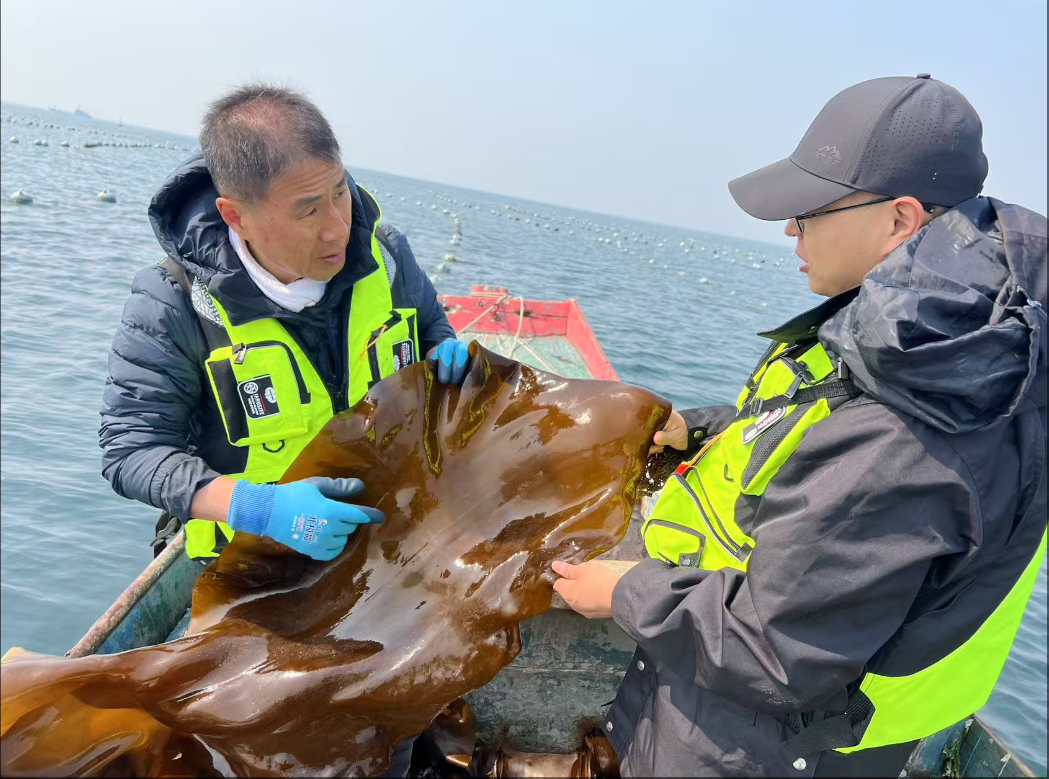 大连出海.png